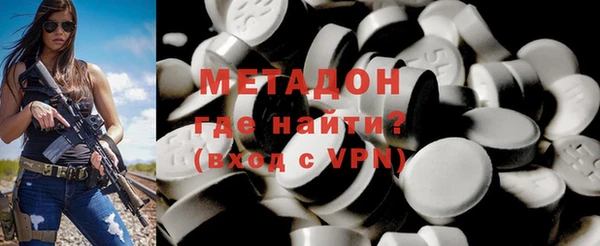 прущие грибы Елизово