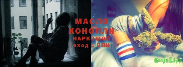 мдпв Елабуга
