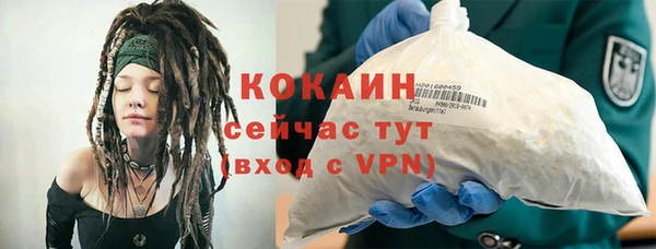 прущие грибы Елизово