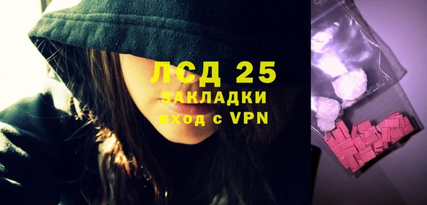 прущие грибы Елизово