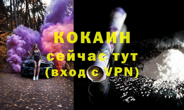 прущие грибы Елизово