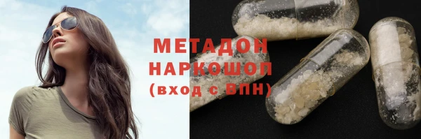 прущие грибы Елизово