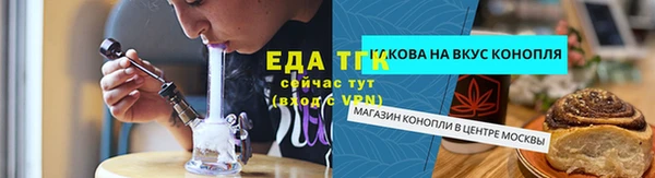 мдпв Елабуга