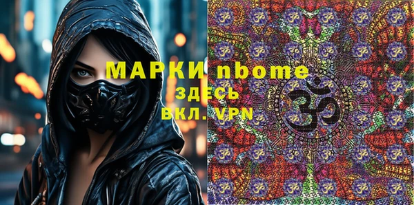 прущие грибы Елизово