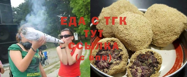 мдпв Елабуга