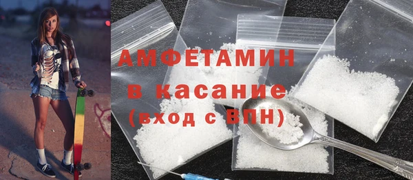 прущие грибы Елизово