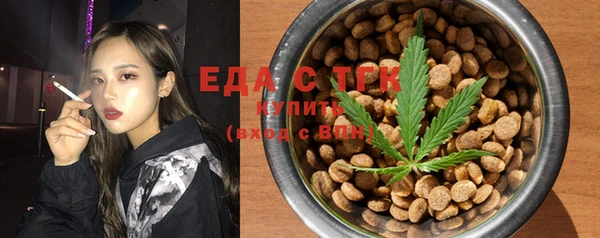 мдпв Елабуга